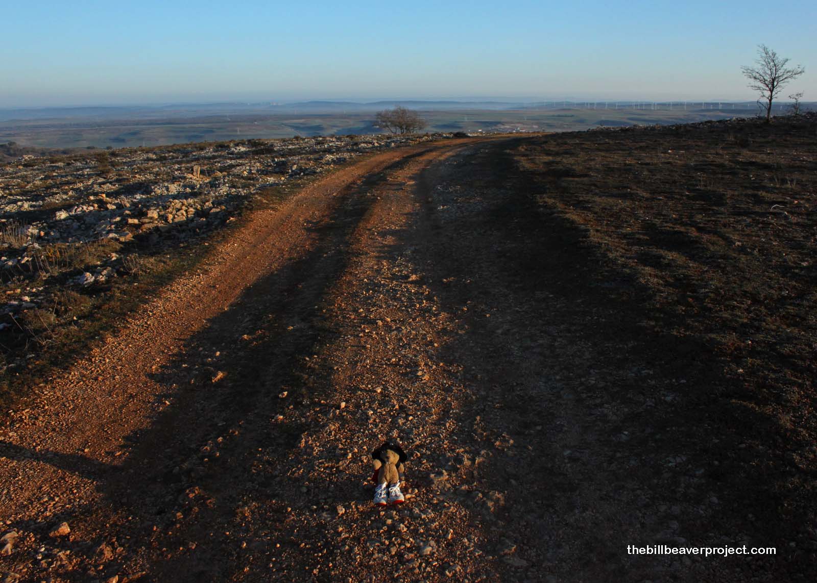 The Archaeological Site of Atapuerca