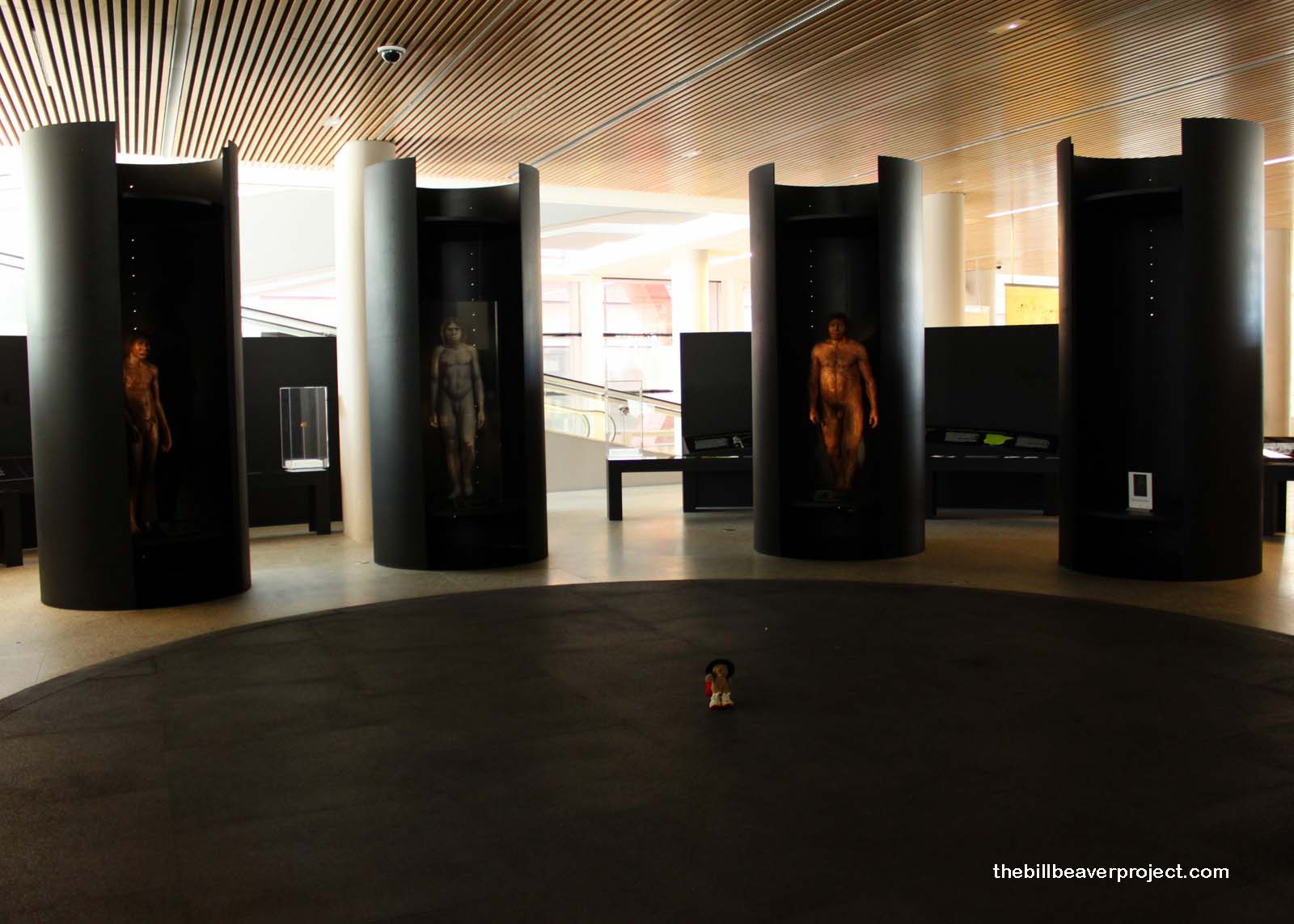 The Human Evolution Museum