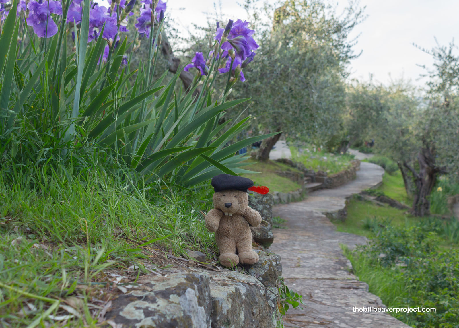 Il Giardino dell'Iris