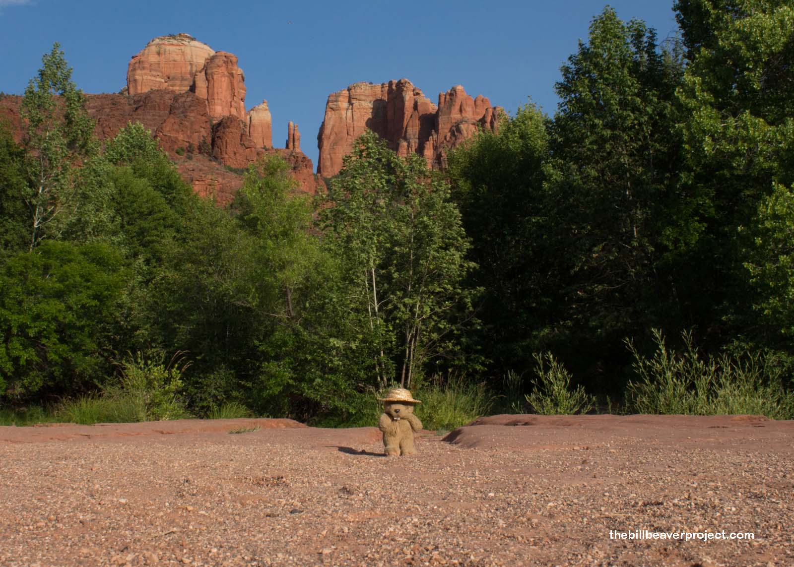The Mysterious Vortices of Sedona
