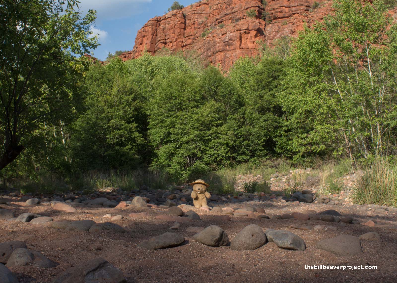The Mysterious Vortices of Sedona