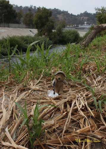 Friends of the LA River