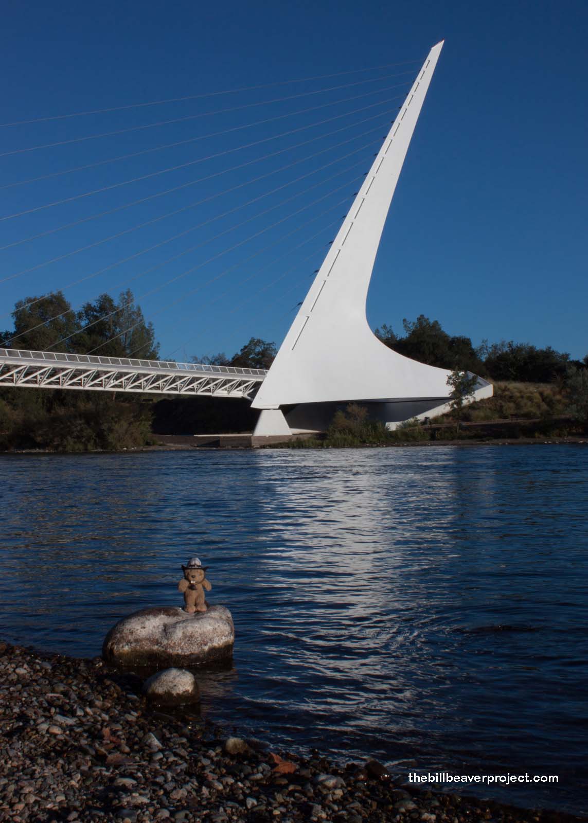 Sundial Bridge