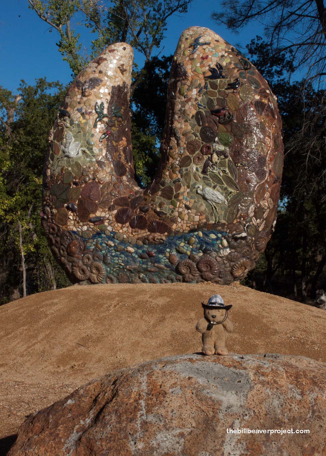 McConnell Arboretum and Gardens