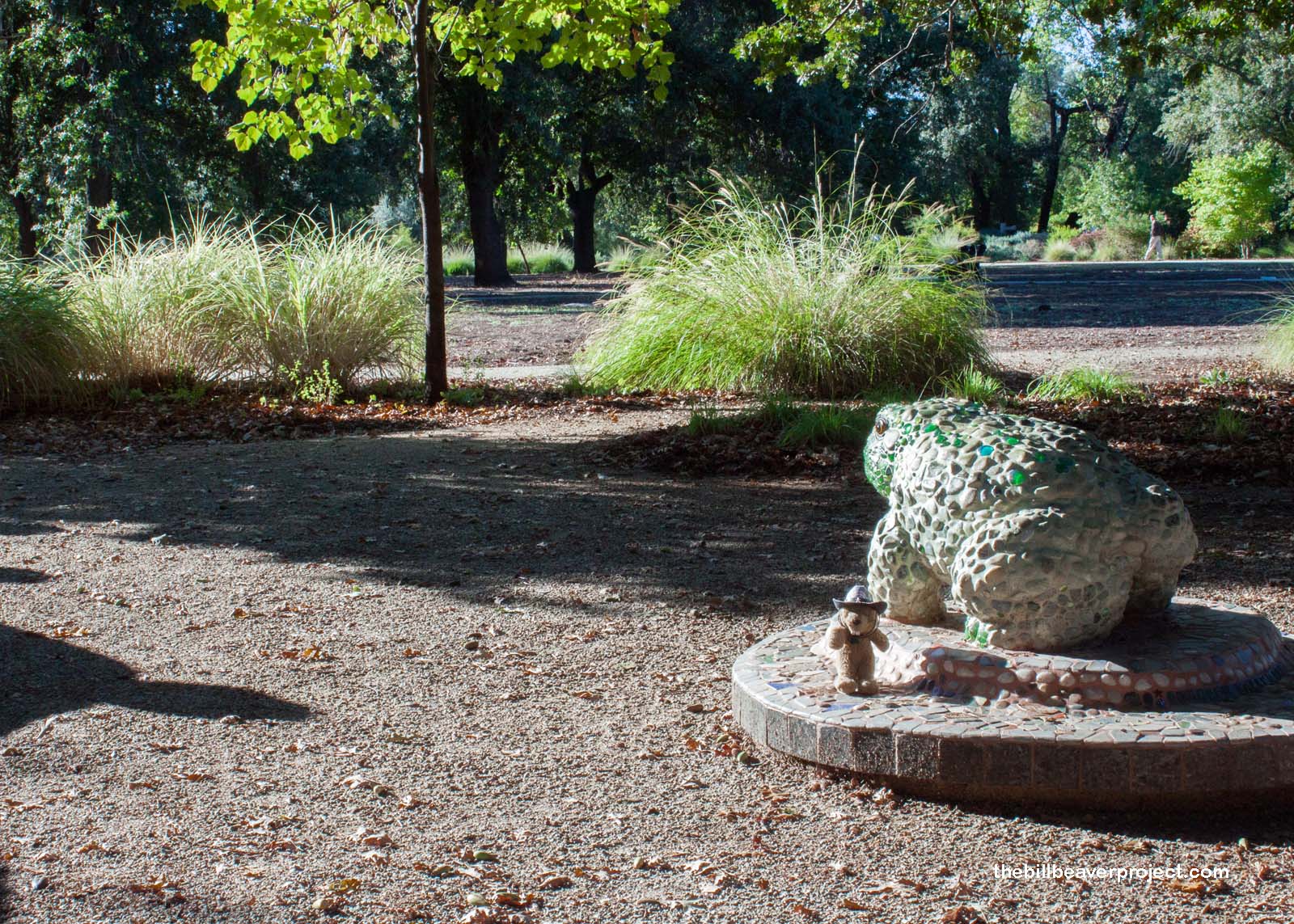 McConnell Arboretum and Gardens