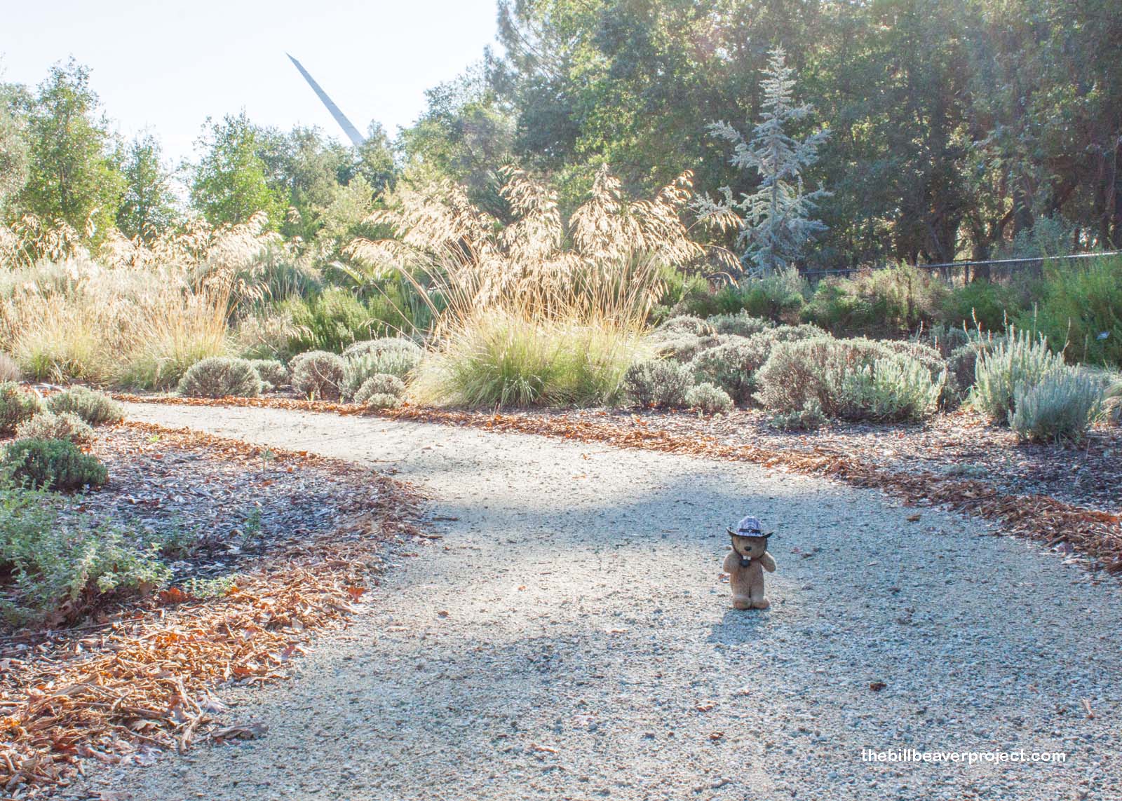 McConnell Arboretum and Gardens