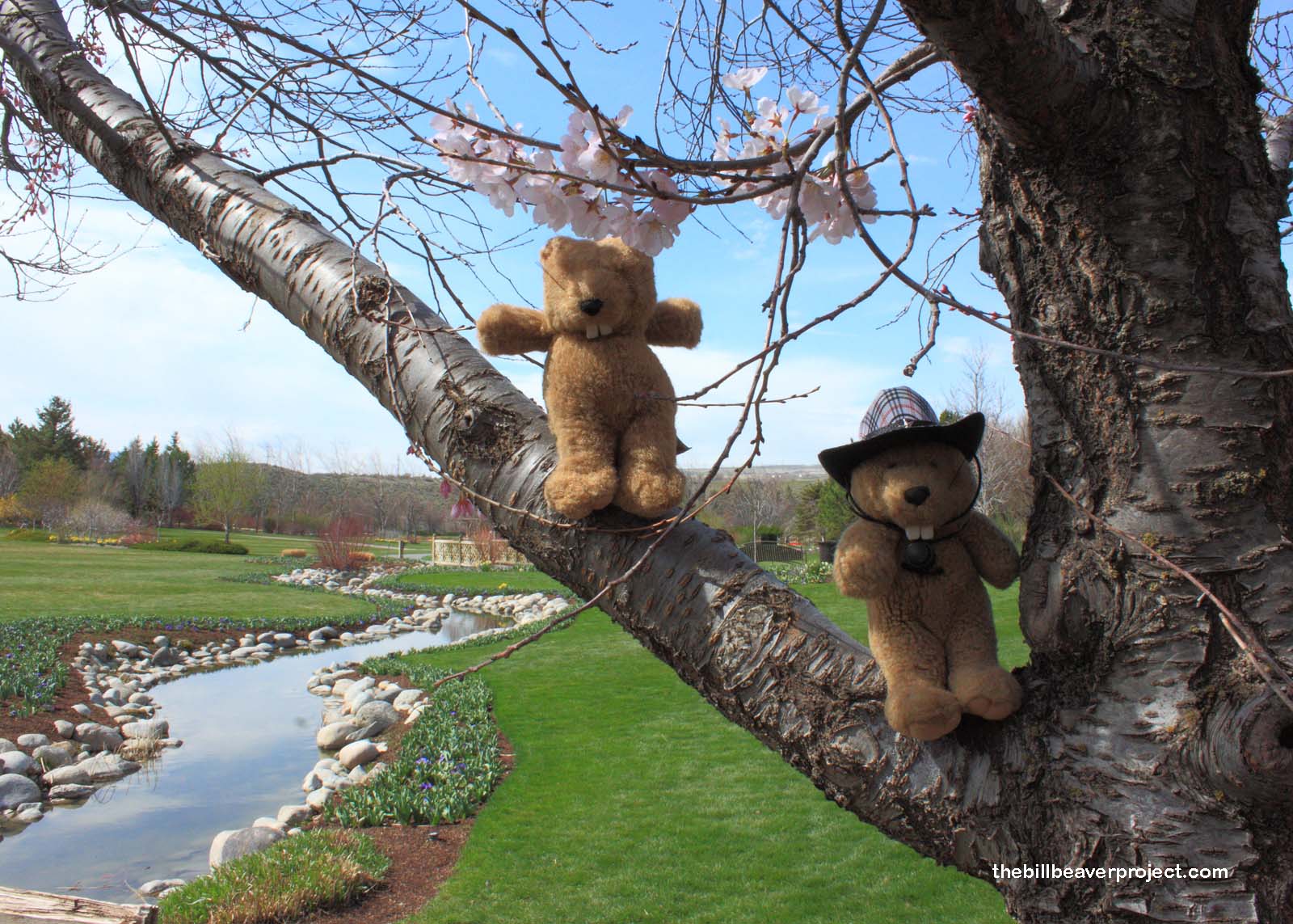 Thanksgiving Point Gardens