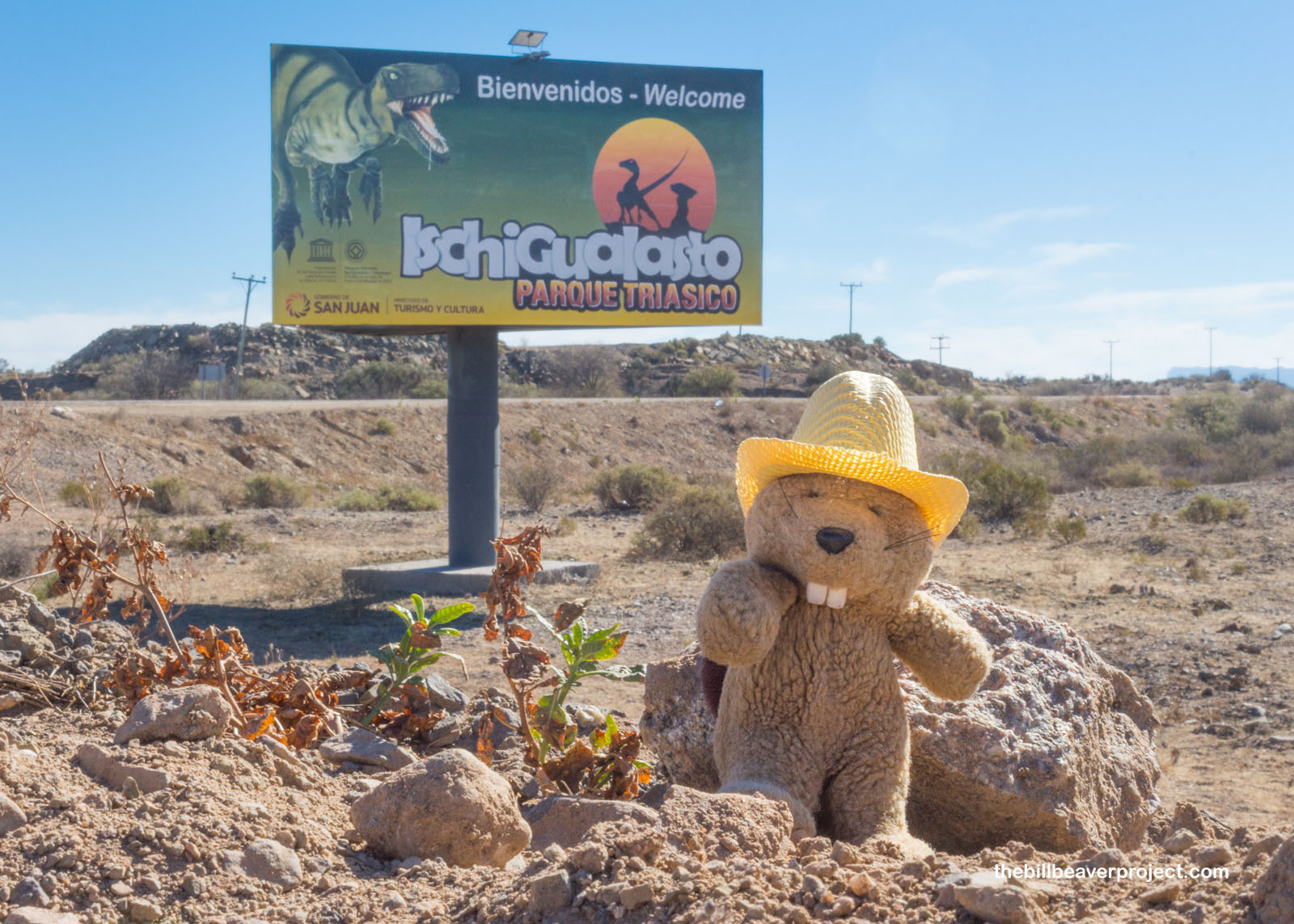 Ischigualasto Provincial Park
