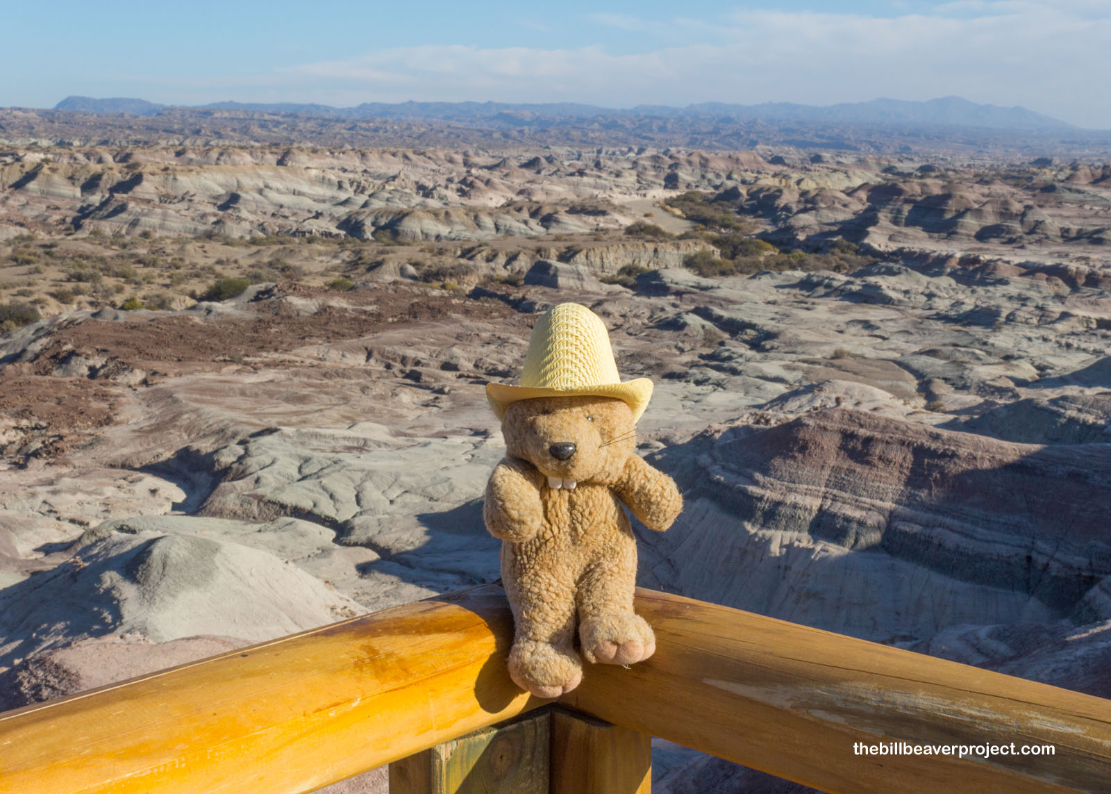 Ischigualasto Provincial Park