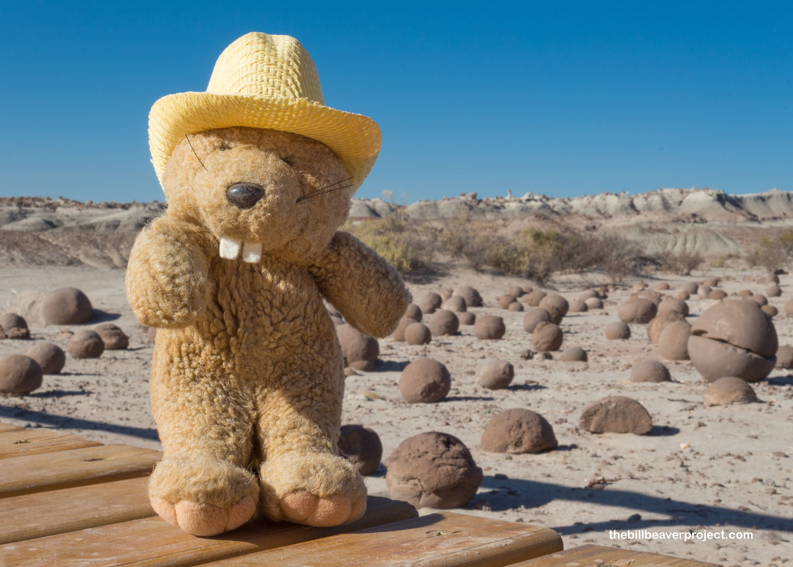 Ischigualasto Provincial Park