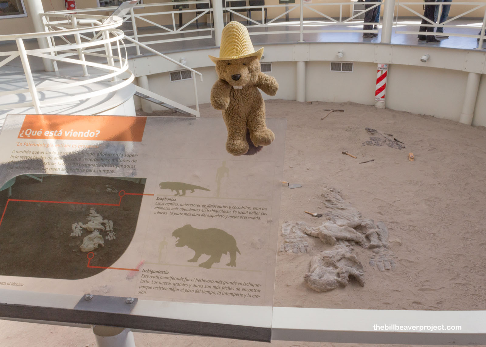 Ischigualasto Provincial Park