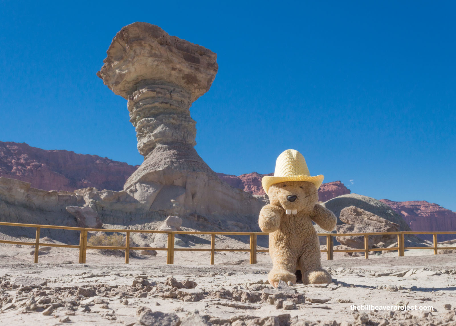 Ischigualasto Provincial Park